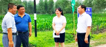 EMC易倍(中国)有限公司官网