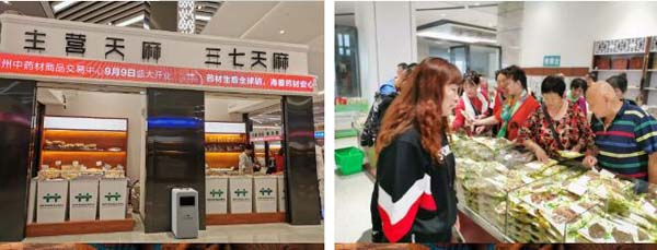 EMC易倍(中国)有限公司官网