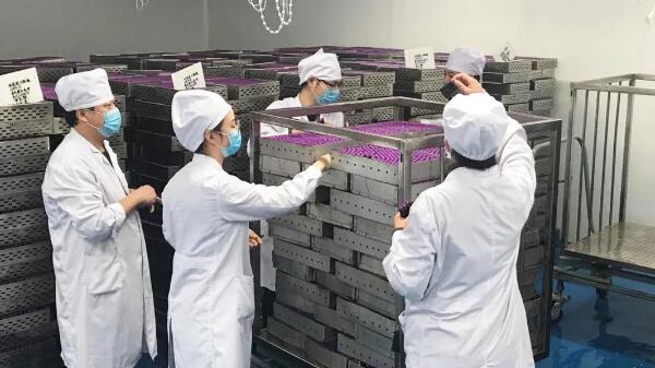 EMC易倍(中国)有限公司官网