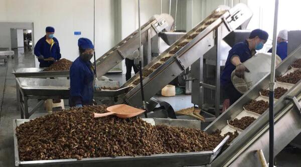 EMC易倍(中国)有限公司官网