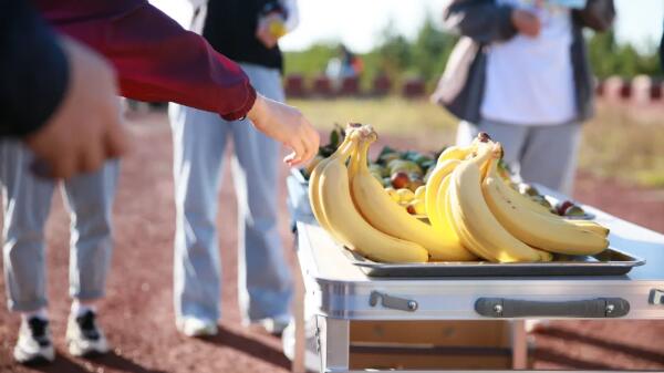 EMC易倍(中国)有限公司官网