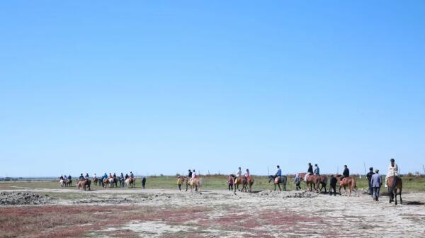 EMC易倍(中国)有限公司官网