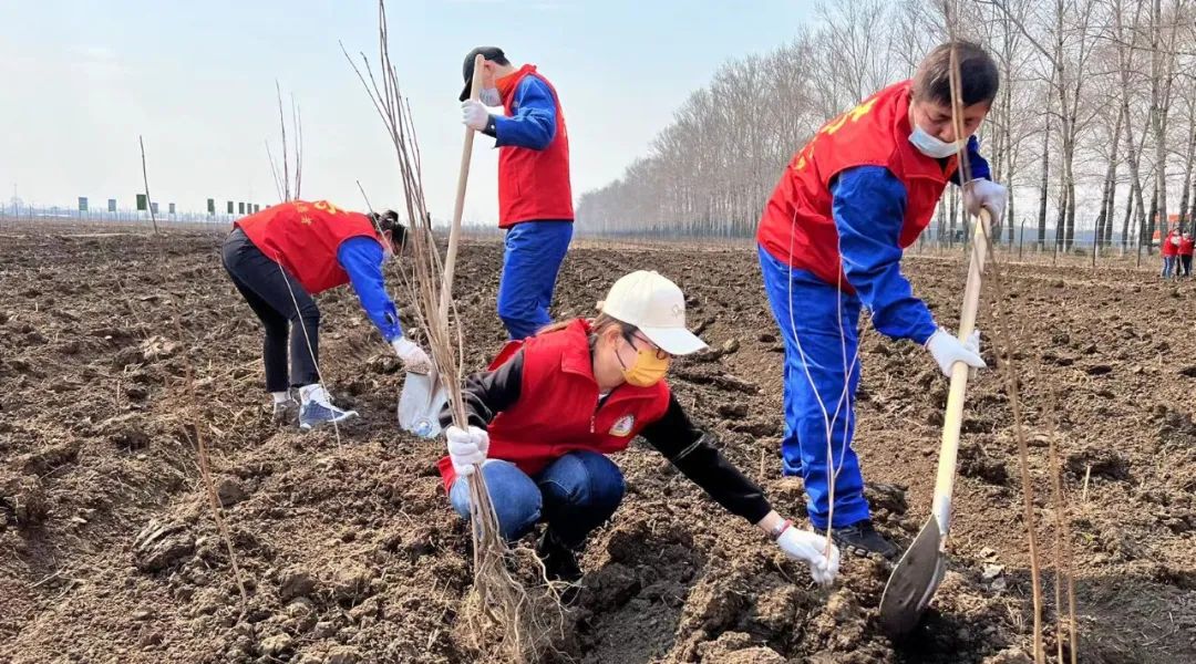 EMC易倍(中国)有限公司官网