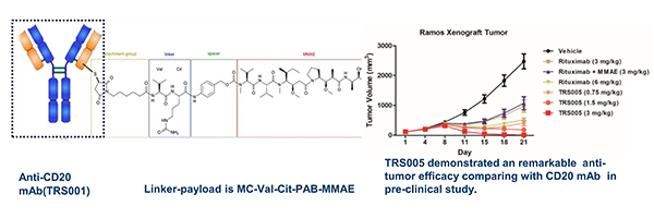 EMC易倍(中国)有限公司官网