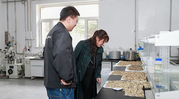 EMC易倍(中国)有限公司官网