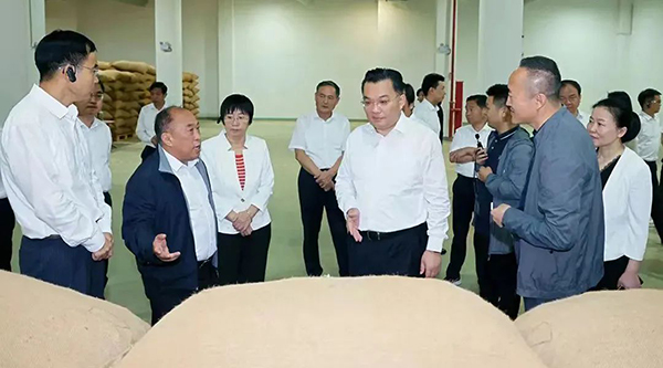 EMC易倍(中国)有限公司官网