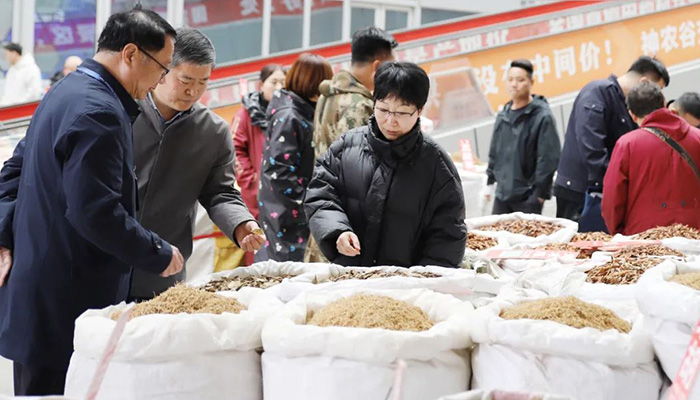 EMC易倍(中国)有限公司官网