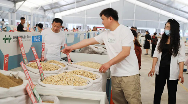 EMC易倍(中国)有限公司官网