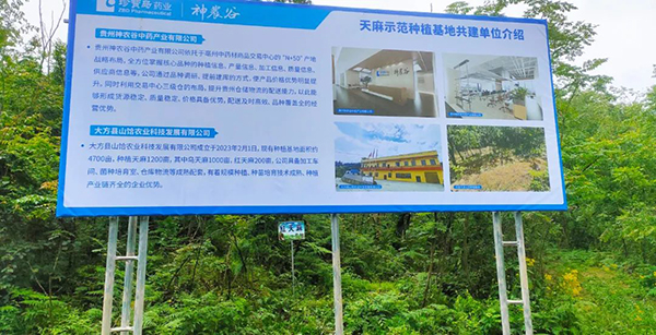 EMC易倍(中国)有限公司官网