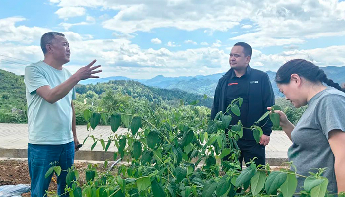 EMC易倍(中国)有限公司官网