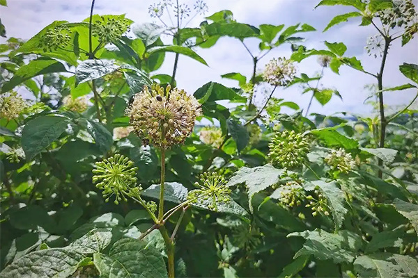 EMC易倍(中国)有限公司官网