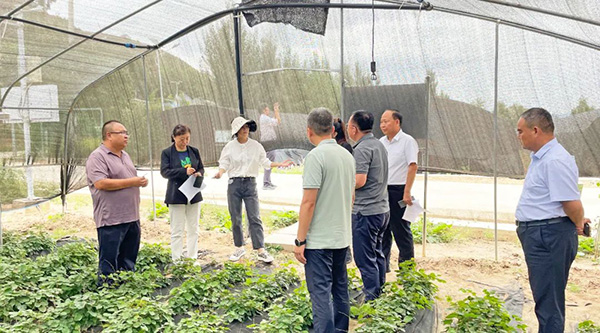 EMC易倍(中国)有限公司官网